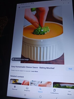 cover image of Culinary Arts Safety and Research Guide 1